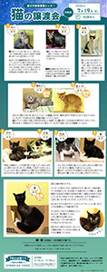 譲渡会イメージ