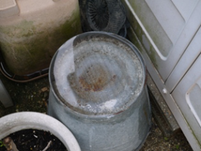 画像：屋外の植木鉢の皿、じょうろに水たまりができている