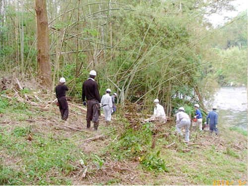 写真　河畔で草刈り、清掃、竹の伐採をする水辺愛護会のメンバー