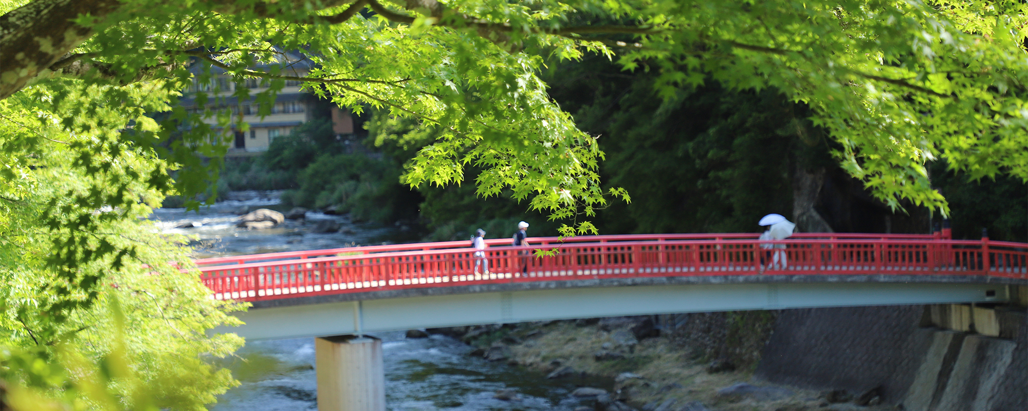 写真：香嵐渓の待月橋と新緑