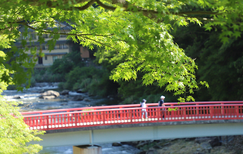 写真：香嵐渓の待月橋と新緑