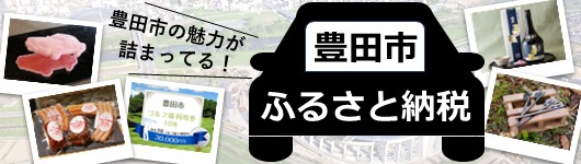 豊田市ふるさと納税