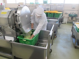 食材の切さい後確認