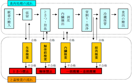 画像：食肉処理の流れ