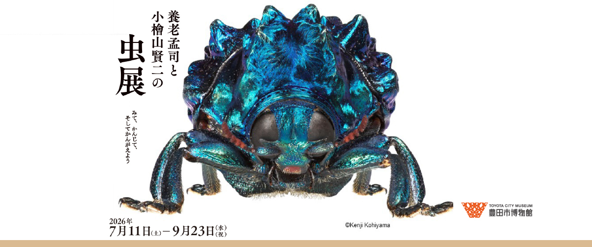 博物館企画展　養老孟司と小檜山賢二の虫展（外部リンク・新しいウインドウで開きます）
