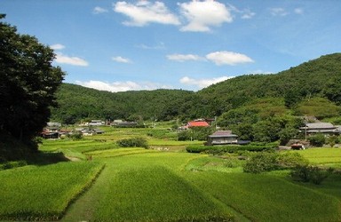 写真：緑豊かな農山村の風景