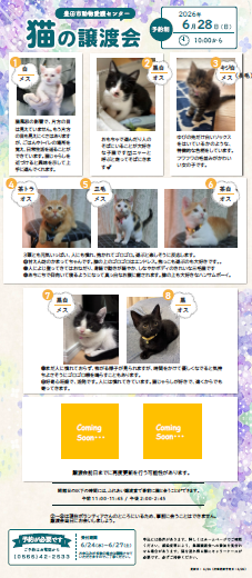 譲渡会イメージ