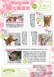 譲渡会イメージ