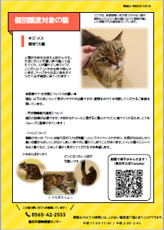 個別譲渡イメージ