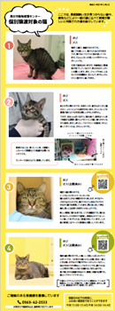 個別譲渡イメージ