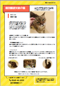 個別譲渡イメージ
