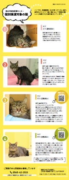 個別譲渡イメージ