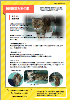 個別譲渡イメージ