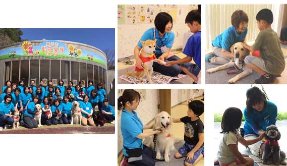 犬とボランティアスタッフの様子