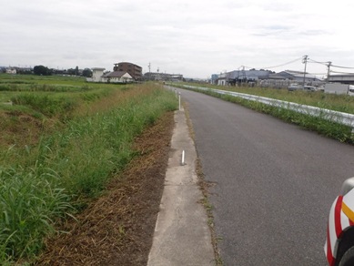 写真：視線誘導標