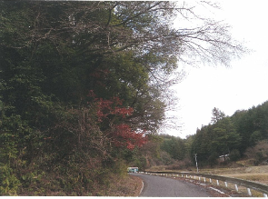 写真：四ツ松町【事業前】の写真