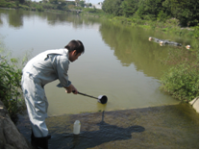 写真：ほてい池・水無瀬川の水質検査