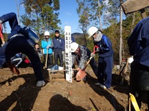 中学校が木を植える様子