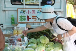 野菜を買う人