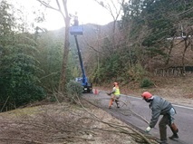 道路で作業する人たち