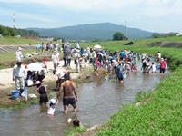 写真　川遊び講座の様子