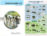 写真：自然に関するグッズ　水生生物調査・下敷き