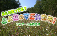 画像：貸出用DVD　ラムサール条約湿地学習映像「みんな知ってる？とよたのすごい宝物！」のイメージ画像