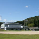 写真：緑の公園の様子