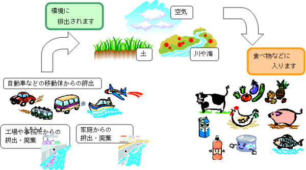 画像：化学物質が体に入るまでの流れのイラスト　自動車などの移動体からの排出、工場や事務所からの排出・廃棄、家庭からの排出・廃棄　環境（土、空気、川や海）に排出されます　食べ物などに入ります