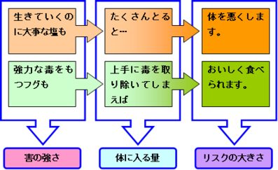 画像：生きていくのに大事な塩も、たくさんとると…体を悪くします。強力な毒をもつフグも上手に毒を取り除いてしまえばおいしくたべられます。害の強さ、体に入る量、リスクの大きさの表