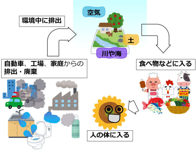 画像：化学物質が体に入るまでの流れのイラスト　自動車などの移動体からの排出、工場や事務所からの排出・廃棄、家庭からの排出・廃棄　環境（土、空気、川や海）に排出されます　食べ物などに入ります