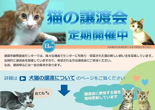 猫ポスター　猫の譲渡会