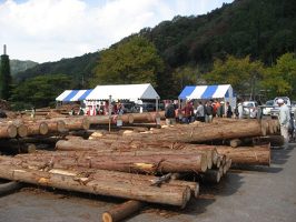 写真：木材市場のイメージ写真