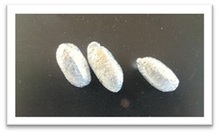 ワークショップの様子02