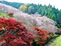 写真　ふれあい公園の様子