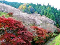 写真：小原ふれあい公園