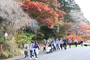 第20回四季桜ウオーク大会の様子　紅葉の中を歩く参加者
