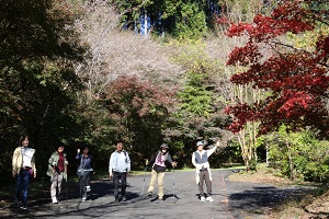 四季桜の中を歩く参加者