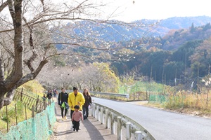 写真:坂を上る参加者