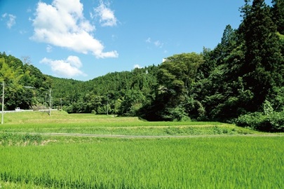 美しい田園風景と山並み