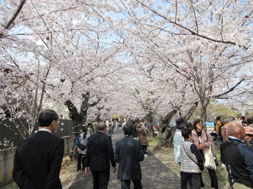 大林町春のふれあい桜まつり　4月5日（土曜日）
