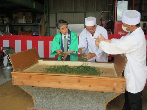 新茶の茶摘みと手もみ体験　4月20日（月曜日）