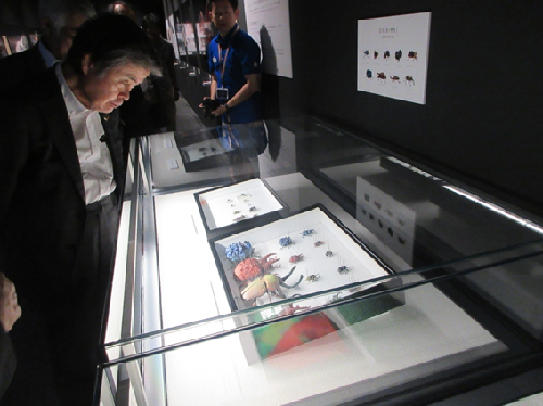 博物館企画展「養老孟司と小檜山賢二の虫展」内覧会 7月10日(金曜日)