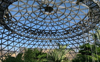 豊田市鞍ヶ池植物園　ガラスの天井