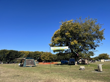 千石公園キャンプ写真