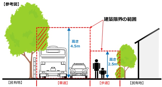 イラスト　道路や歩道と樹木