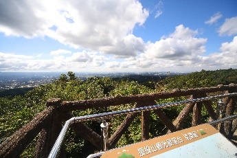 展望台からの景色