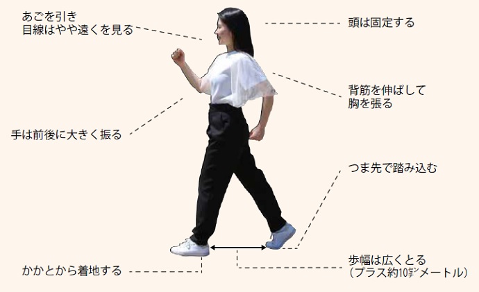 ポイント　歩くときの正しい姿勢
