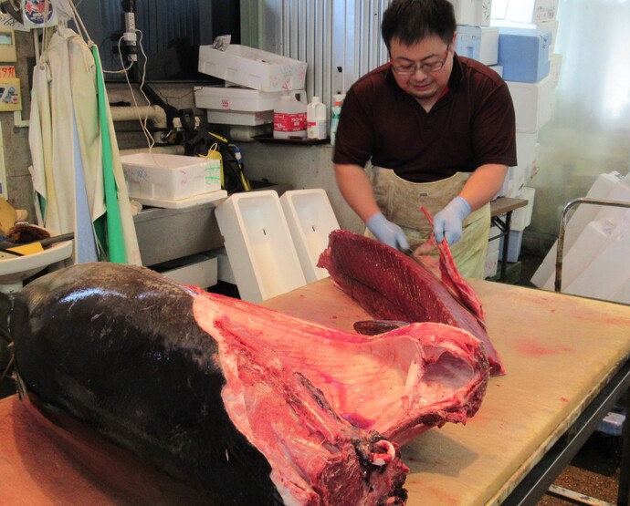 過去のマグロ解体の様子