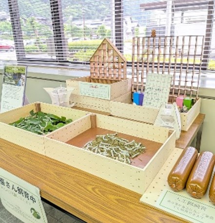 養蚕の様子